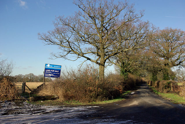 Half-Acre Plot, Area 49